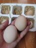 猴王山谷物鲜鸡蛋生鲜散养 6枚装 实拍图