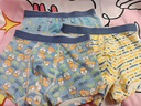 浪莎青少年内裤中大童学生棉质儿童内裤10-18岁胖童男孩亲肤四角短裤 活力少年 3条 180 -2XL-建议体重120-140斤 实拍图