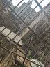 光威（GW）鱼竿超细峰轻量碳素台钓竿手竿28调超轻钓鱼竿黑坑野钓综合竿鱼杆 7.2m 超细峰轻量二代+竿梢 实拍图