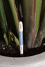 匠心绽放 SUSTEE土壤水分计植物湿度计缺水提醒养花种菜浇水白色M号17134 实拍图