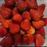 农家新语 丹东99红颜奶油草莓 2斤大果礼盒装 新鲜水果 空运直达 实拍图