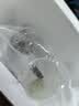 云峰海瑞鱼缸观赏虾活体虾鱼缸工具虾除藻活虾鱼缸除藻除藻虾黑壳虾五彩虾 虾螺蟹清洁套餐A（会生小虾 送尝鲜虾粮） 实拍图