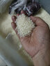 金龙鱼东北大米 鲜稻小町 寿司香米 5KG*4/箱 20公斤整箱装 实拍图