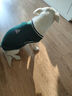 智宙狗狗衣服中型犬秋冬款保暖柴犬泰迪比熊法斗柯基学院风卫毛衣秋季 墨绿学院风毛衣 3XL适合28斤内 实拍图