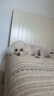 力狼狗粮 狼道 斗牛柯基秋田博美比熊边牧犬通用型高端系列 全价幼犬1.5kg 实拍图