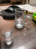青苹果 水晶白酒杯套装家用玻璃分酒器小号一口杯中式创意白酒酒盅饭店 礼盒装/把手分酒器100x6+杯15x6 实拍图