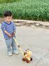 皇恩儿童泡泡机玩具手持推车全自动多孔吹泡泡棒液水婴幼无毒宝宝户外 黄小鹿推车泡泡+充电+20泡泡液 实拍图