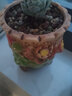 仟尚亿韩式花盆组合创意个性粗陶透气肉肉老桩桌面家用室内大号多肉花盆 五彩花朵组合5个 中等 实拍图