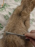 克莉斯汀森（Chris Christensen）美国进口宠物排梳美容猫毛梳狗梳开结造型梳浮毛 【006】5英寸小排梳细粗 实拍图