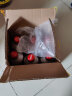 可口可乐（Coca-Cola）日本原装进口 日版可口可乐铝罐子弹头饮料汽水碳酸饮料 300mL 6罐 实拍图