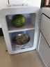 慕斯宝母乳储奶专用迷你小冰箱宝宝存奶冷藏保鲜手提冷冻小冰柜车载家用 母乳冷藏-双核数控-车家两用 18L 实拍图