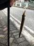 汉鼎幻翎路亚竿远投泛用竿鲈鱼翘嘴微物路亚竿纺车轮水滴轮直柄单杆 1.98米 直柄ML【单杆】泛用易上手 实拍图