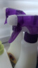 CHANTECLAIR大公鸡管家多功能油污净(薰衣草) 厨房重油污清洁剂 600ml 实拍图