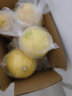 惠鲜美安岳黄柠檬 新鲜水果柠檬泡水小柠檬 1斤 实拍图