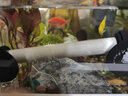 俪鱼（LIYU）小型鱼缸加热棒热带鱼自动恒温石英加温棒水族电热棒 外置调温 石英管35W 13cm 低水位迷你版 实拍图