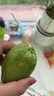 蔬果哆 新鲜蔬菜 云南特产 佛手瓜 嫩瓜 捧瓜窝瓜 2.5kg(一箱五斤) 实拍图