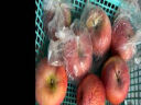 好乐果红富士苹果今年新苹果 嘎啦果脆甜鲜苹果新鲜水果生鲜小苹果年货 3斤尝鲜 晒单实拍图