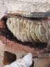 泰起电烧烤炉无烟烤肉锅家用电烤盘韩式多功能铁板烧烤肉机 特大号68*28cm+十件套 1层 实拍图