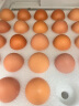 CP  正大 鲜鸡蛋 30枚 1.59kg 早餐食材 优质蛋白  简装 年货礼盒 实拍图