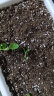 德沃多肥料植物营养土通用25L养花土种菜花卉盆栽多肉种植土有机基质土壤 实拍图
