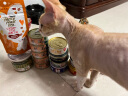 珍致主食罐猫罐头 全价猫粮猫湿粮幼猫 低脂高蛋白85g 烧汁系列含鸡肝 实拍图