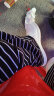安踏（ANTA）女鞋板鞋女2024年夏季新款低帮板鞋轻便透气小白鞋学生休闲运动鞋 【推荐夏季透气】象牙白/绛红色 36 (5.5码) 晒单实拍图