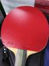 729 焦点3套胶 焦点三涩性乒乓球胶皮反胶 进攻型 红色42度 实拍图