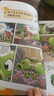植物大战僵尸2武器秘密之你问我答科学漫画·食品与营养卷（含卡牌游戏） 实拍图