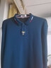 恒源祥高端纯棉长袖t恤男士翻领商务体恤外穿春秋季款中年带刺绣POLO衫 77169蓝色 加绒 XL 175 实拍图