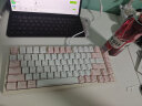 本手机械键盘女生粉色有线键盘无线蓝牙三模高颜值Gasket软弹结构台式笔记本平板电脑游戏打字办公键盘 郁金香粉白（红轴-混光）有线版+Gasket结构 实拍图