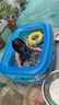费林斯曼充气游泳池超大型成人小孩婴幼儿童游泳桶家用家庭室户外宝宝水池 加厚三环1.5米【150*108*52cm】 实拍图