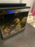 海享说微趣wifi智能加热水草金鱼溪流缸小型桌面生态造景鱼缸爵士黑单缸 晒单实拍图