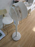 荣事达（Royalstar）空气循环扇电风扇家用落地扇台地两用立式大风量涡轮换气对流扇空调伴侣电扇 【台立两用】遥控款空气循环扇-米白色 实拍图