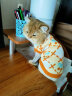 华元宠具（hoopet）猫咪衣服防掉毛秋冬无袖毛衣狗狗衣服冬季保暖宠物德文猫两脚衣 【猫狗通用】两脚无袖保暖黄毛衣 S：胸围34cm（建议3-5斤） 实拍图