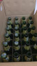 泰象（Chang Beer）泰象  泰国原装进口 象啤 双象 泰国大象啤酒保质期至6月12号 320mL 24瓶 晒单实拍图