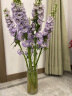 盛世泰堡玻璃花瓶透明植物插花瓶水培容器大花瓶客厅摆件直筒款 晒单实拍图