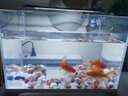 森森（SUNSUN）鱼缸水族箱超白玻璃水草缸造景桌面缸 超白350裸缸(35*21*25cm) 实拍图