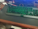 雷蛇（Razer） 黑寡妇蜘蛛标准 机械键盘 游戏键盘 办公键盘 电脑键盘 ABS键帽104键 标准版-104键绿轴绿光 实拍图