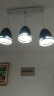 雷士（NVC）现代简约圆形餐厅灯北欧卧室吧台创意大气极光3头现代简约餐厅灯 实拍图