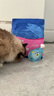 海洋之星 三文鱼猫粮幼猫无谷低敏 英短布偶幼猫猫粮小颗粒1.5kg 实拍图