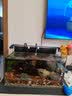 森森（SUNSUN）鱼缸增氧泵水族箱氧气泵家用小型充氧泵 【升级断电自启】3.5W双孔交直流+气石套餐 实拍图