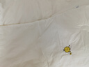 罗莱儿童（luolaikids）婴幼儿A类79%大豆纤维被全棉秋冬保暖被子被芯200*230 实拍图