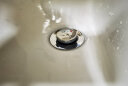 箭牌防堵易清洗去水器洗手池洗脸池洗脸盆下水管弹跳下水器浴室柜配件 AE5305弹跳下水器（不含软管） 实拍图