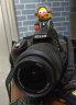 尼康/Nikon D3200 D5300 入门级半画幅二手单反相机 D5300+18-55VR【套机】 99新 晒单实拍图