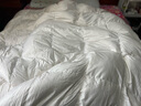 斯诺曼加厚高档100支贡缎进口95白鹅绒羽绒被芯冬被子2.0*2.3m充1300g白 实拍图