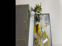 柳莺花燕免打孔电表箱装饰画现代简约客厅餐厅挂画电闸箱配电箱遮挡壁画 家和富贵 80X60遮挡70X50表箱 上掀款 实拍图