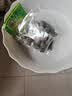 花行榜开口碗莲种子水培植物睡莲荷花盆栽种籽 混色60粒+盆+液源头直发 实拍图