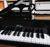 Hape(德国)儿童早教玩具艺术培养30键钢琴典雅黑男女孩六一礼物 E0320 实拍图