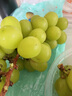 辣青春【顺丰多地次日达】云南阳光玫瑰青提葡萄晴王当季新鲜水果礼盒装 白色恋人4斤【浪漫礼盒装】 颗颗甄选 实拍图