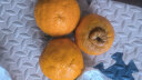 生活＆好管家四川丑橘不知火新鲜水果桔橘子丑柑丑八怪整箱 (75-80)中大果带箱5斤(净重4.5+) 实拍图